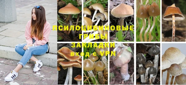 прущие крисы Магадан