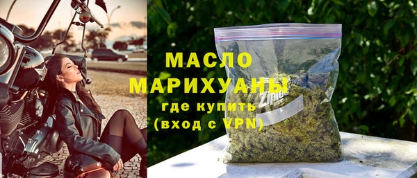 индика Мегион