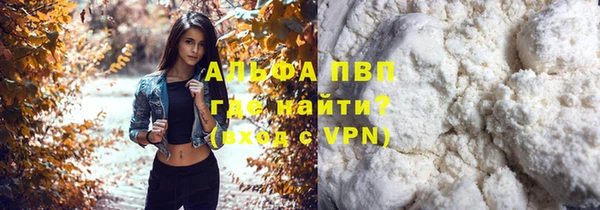 прущие крисы Магадан