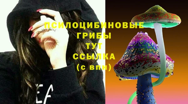 винт Магас