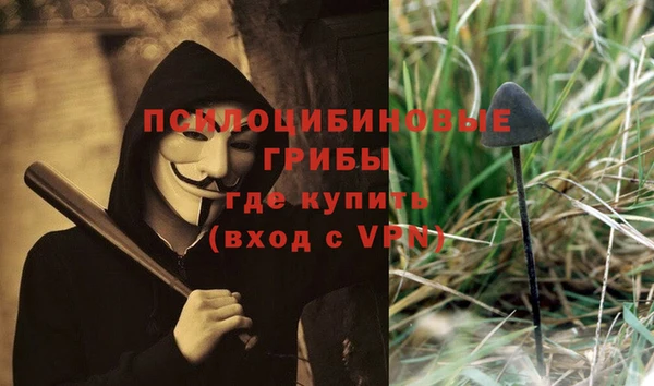 прущие крисы Магадан