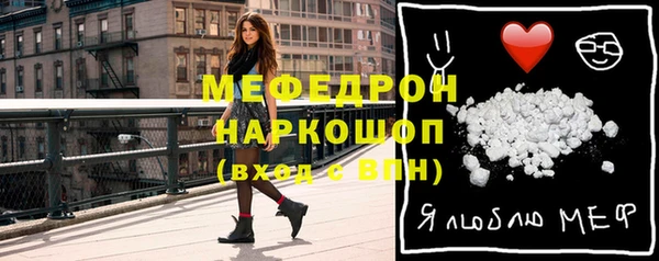 индика Мегион