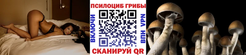 Псилоцибиновые грибы Magic Shrooms  где продают наркотики  Брюховецкая 