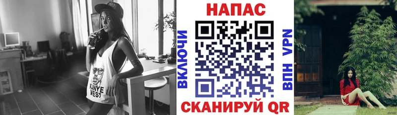 Шишки марихуана марихуана Брюховецкая